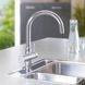 Змішувач для кухні Grohe Blue Bi-Flow 33251000 CV030564 фото 5