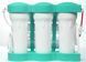 Фільтр зворотного осмосу Ecosoft P&rsquo;URE AQUACALCIUM Mint (MO675PUREMACECO) 310 фото 4